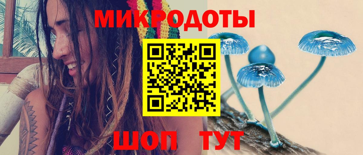 Псилоцибиновые грибы GOLDEN TEACHER  Вход с VPN  Псилоцибиновые грибы GOLDEN TEACHER  Сегежа 